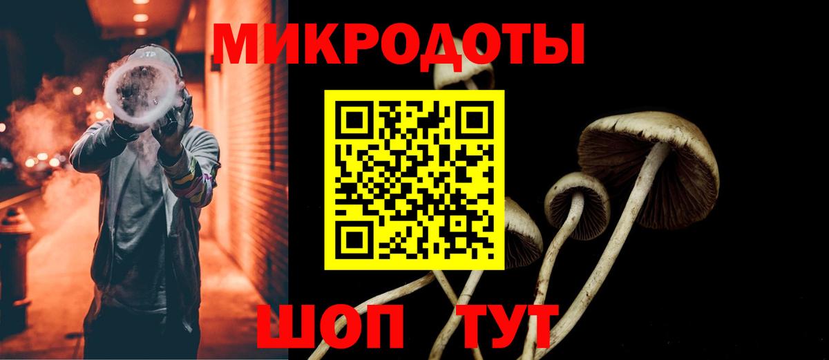 Псилоцибиновые грибы Psilocybe  Вход с VPN  Мценск 